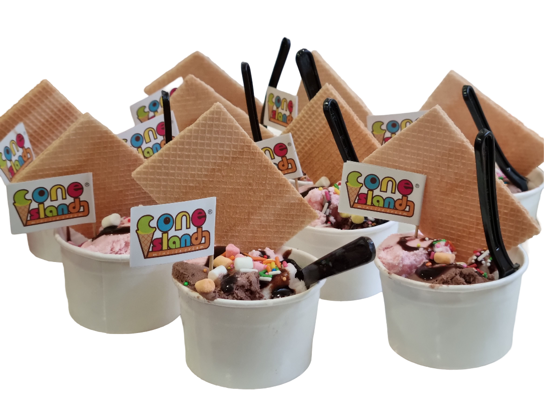 Ice Cream on Cup with Wafer & Toppings